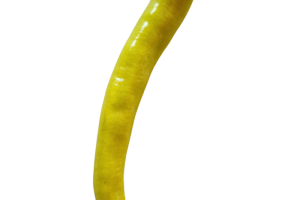 Pfefferoni milder Spiral